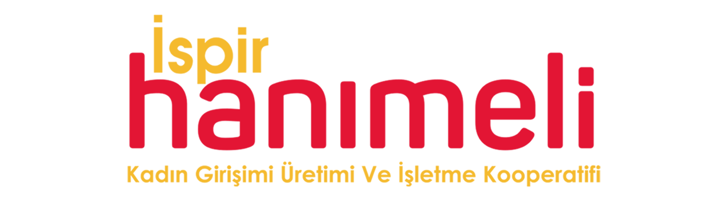 Anasayfa