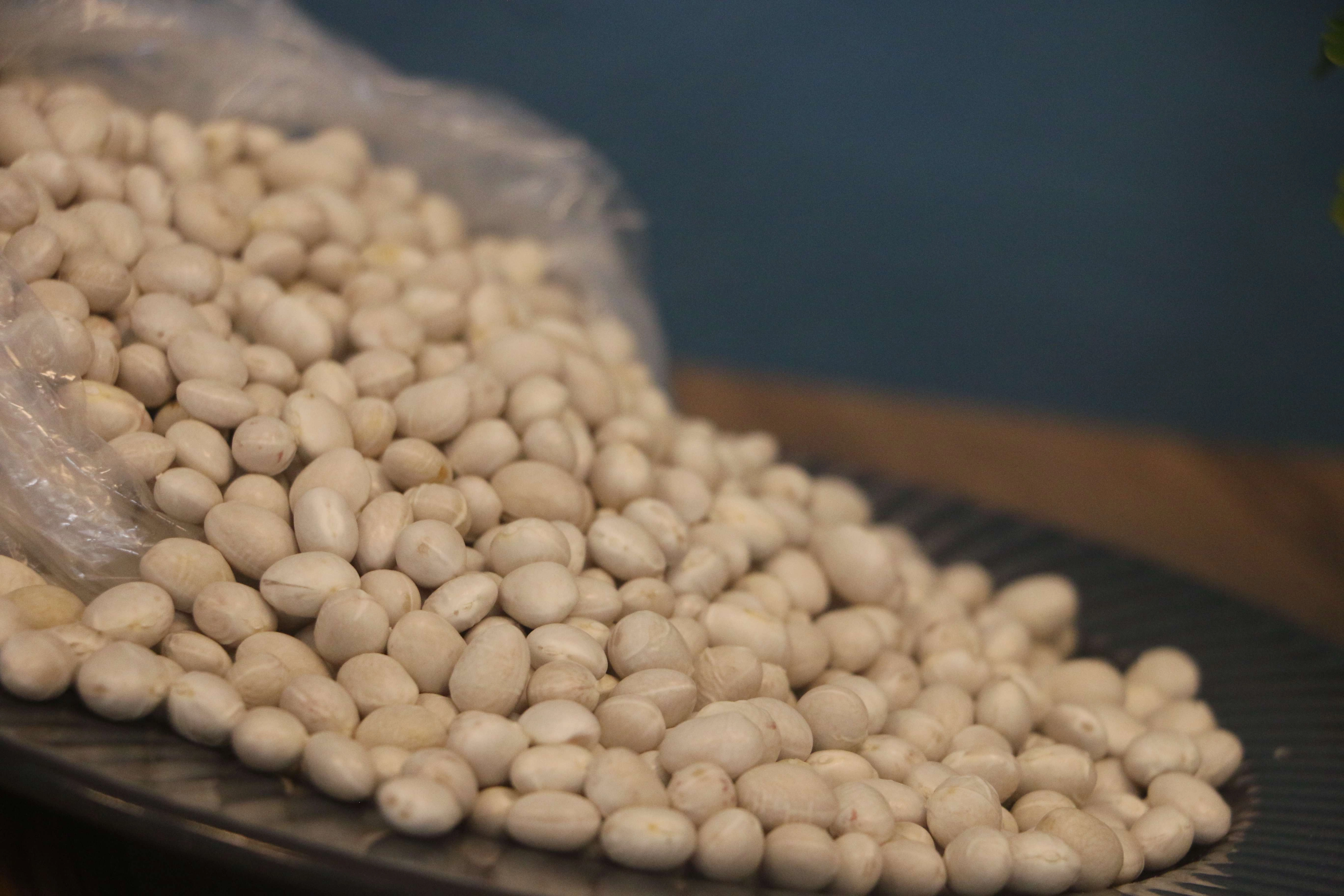 İspir Hanımeli Fasulyesi