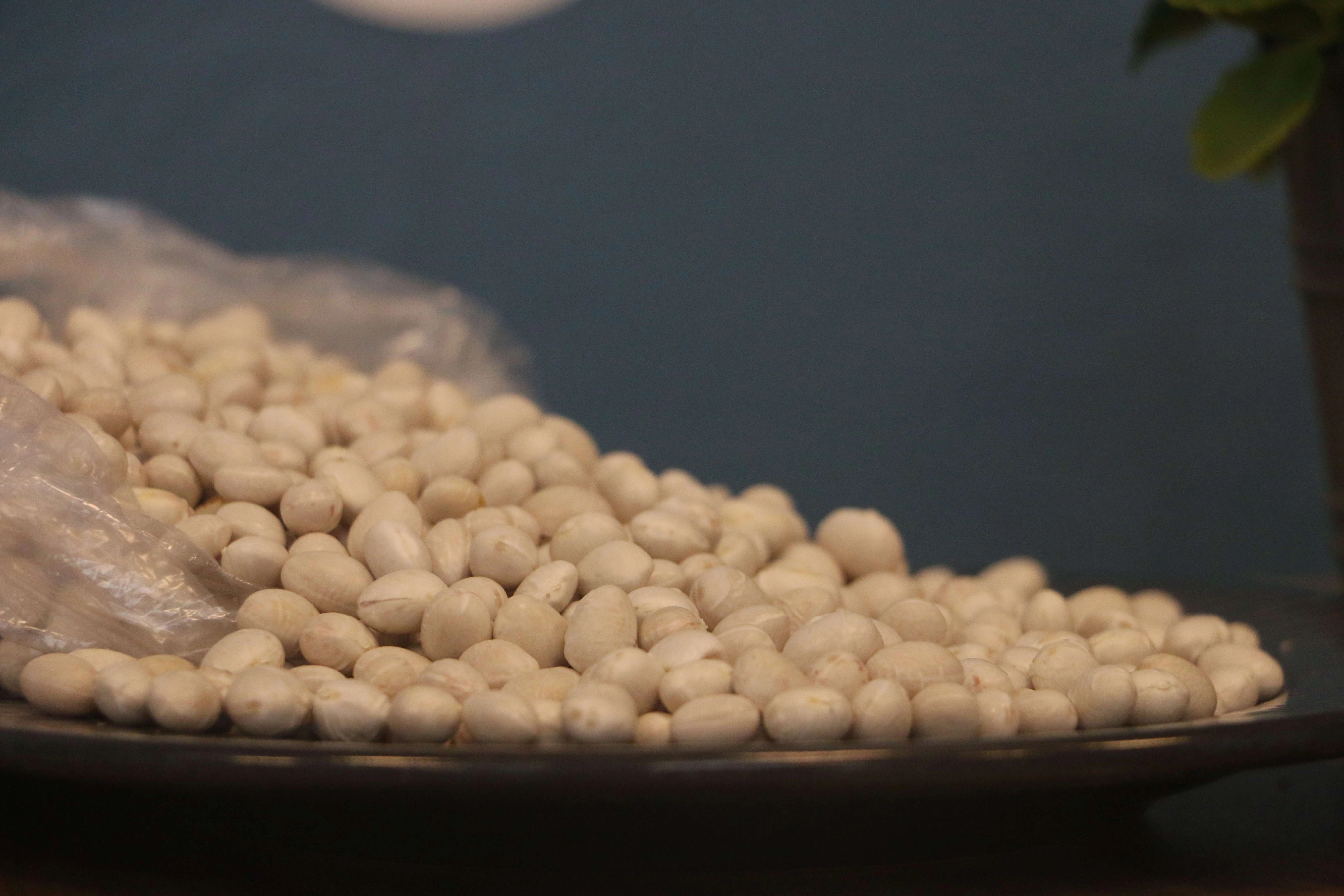 İspir Hanımeli Fasulyesi