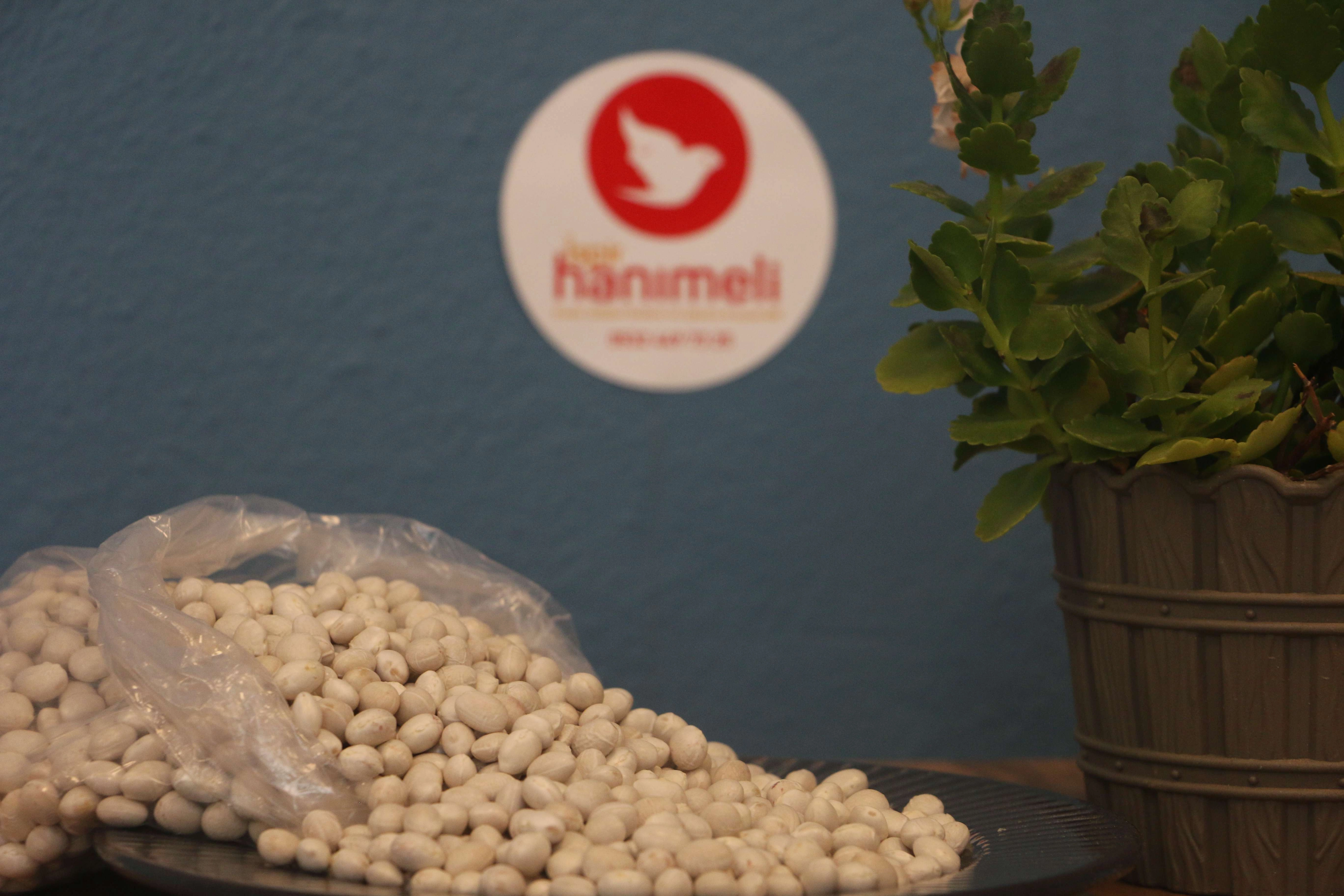 İspir Hanımeli Fasulyesi