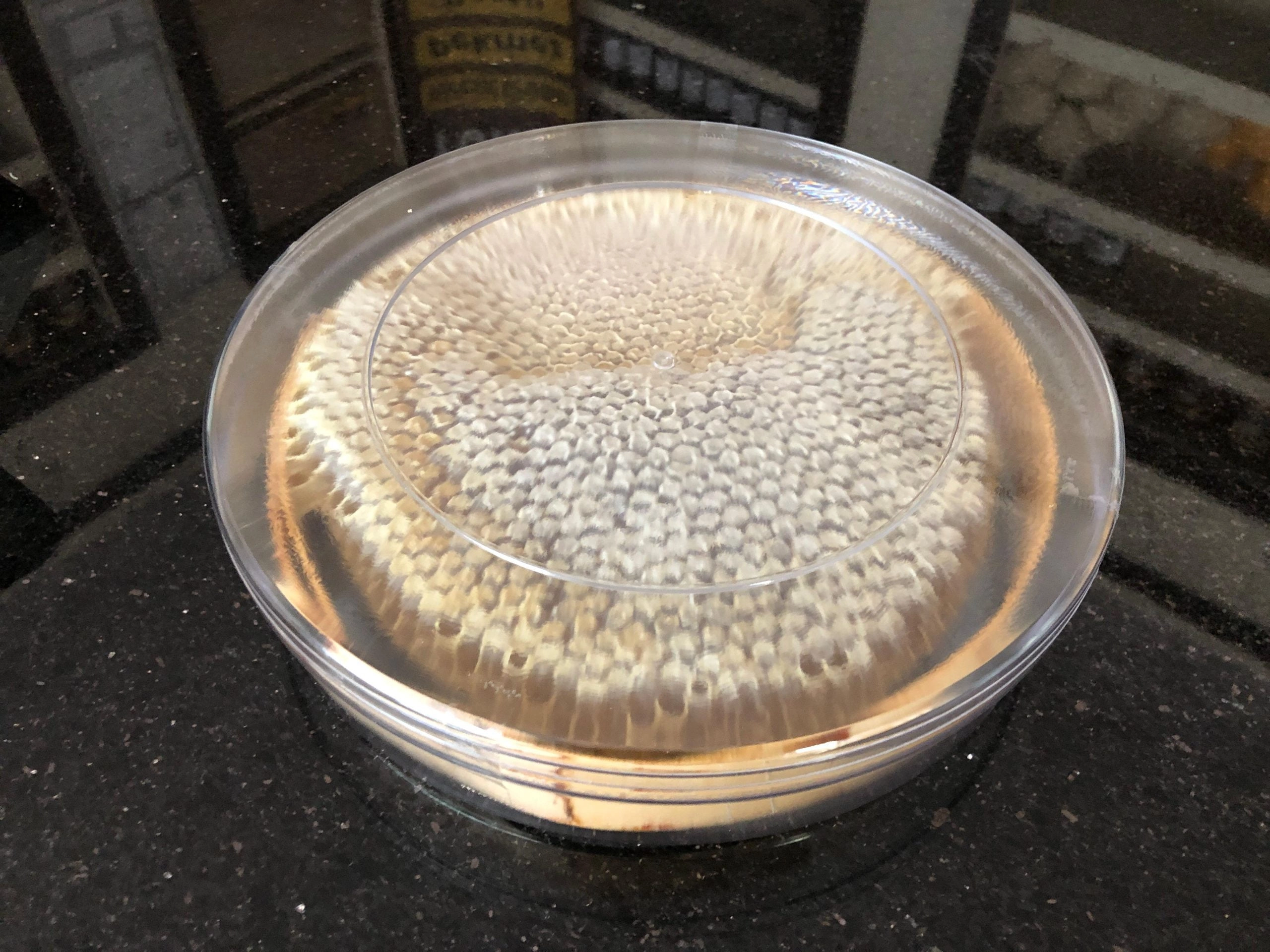 Karakovan Bal - 600 GR